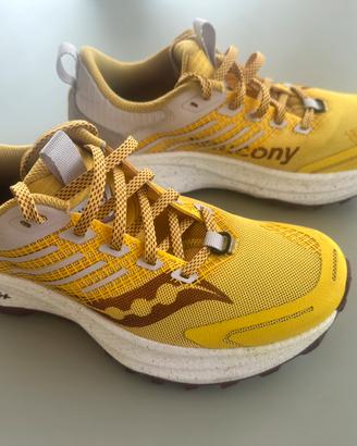 Scarpe saucony ride tr2