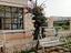 Immagine 1