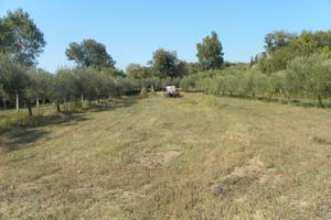 Terreno agricolo di mq. 6000