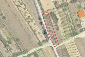 TER. AGRICOLO A SELARGIUS