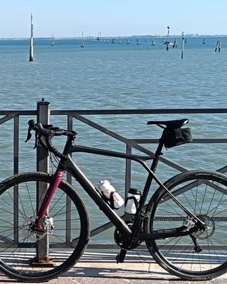 Gravel GT grade carbonio