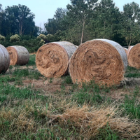 Rotoballe prato stabile