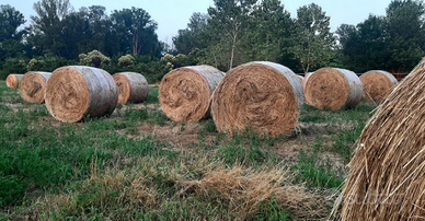 Rotoballe prato stabile