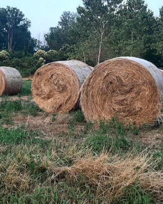 Rotoballe prato stabile