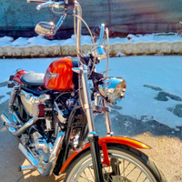 Harley Davidson XL 1200 C