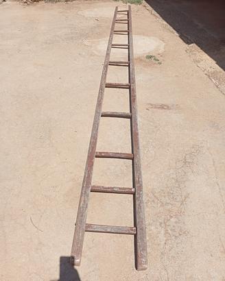 scala per potatura 
