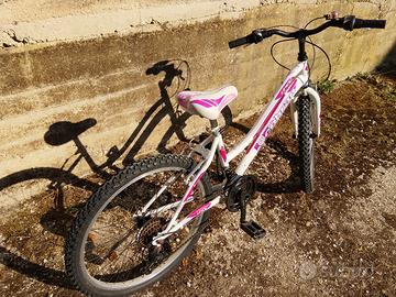 bicicletta  ragazza a doppio marce