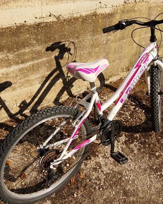 bicicletta  ragazza a doppio marce