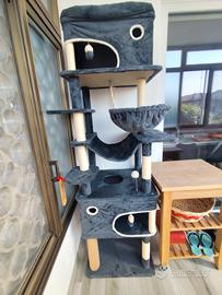 accessori e cibo per gattini