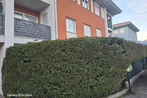 Appartamento piano terra con giardino a Lavis