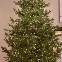 rockfeller  led di salvatore izzo