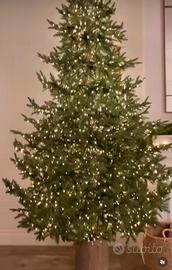 rockfeller  led di salvatore izzo