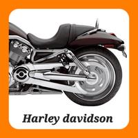 PROTEZIONE CINGHIA HARLEY DAVIDSON V-ROD