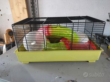 gabbia criceti