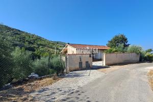 Casa Indipendente con Terreno ad uliveto
