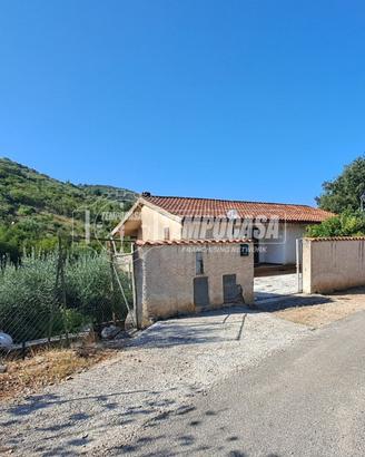 Casa Indipendente con Terreno ad uliveto