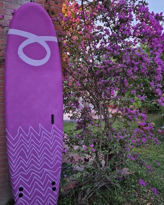 Tavola surf soft hookipa