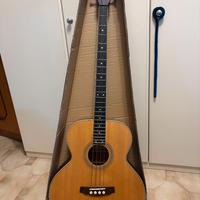 J&D Acoustic Bass – Basso Acustico