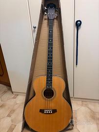 J&D Acoustic Bass – Basso Acustico