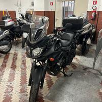 Suzuki v strom 2012