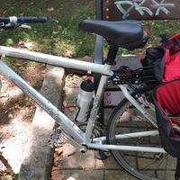 Cannondale road warior