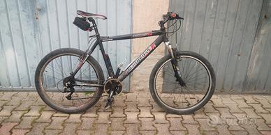 mountain bike uomo