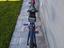 Immagine 5