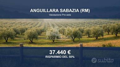 Immobile in asta di 9390 m² a Anguillara Sabazia