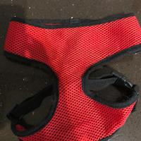 Pettorina cane o gatto