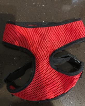 Pettorina cane o gatto