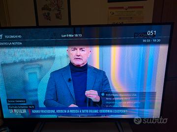 Sony bravia 48 pollici 