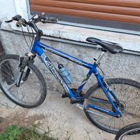 bici pieghevole e mountain bike
