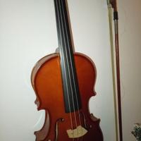 Coppia di violini