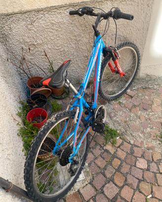 Bici Mountain bike 24 pollici