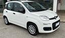 fiat-panda-1-2-easy-kw-51-cv-70-neopatentati-