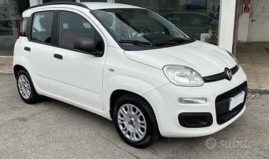 Fiat Panda 1.2 Easy (KW 51 CV 70 Neopatentati)