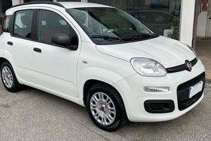 Fiat Panda 1.2 Easy (KW 51 CV 70 Neopatentati)