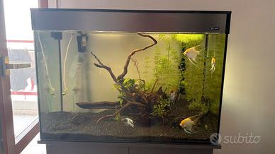 Vasca acquario ciano emotions pro80 da 160litri