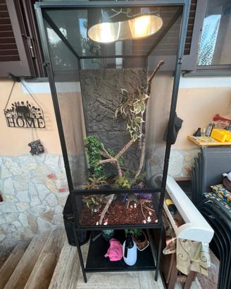 Terrario per camaleonti e altri rettili