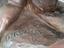Immagine 6