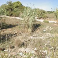 Terreno Edificabile - Vittoria
