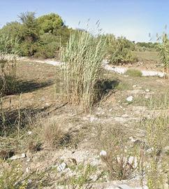 Terreno Edificabile - Vittoria