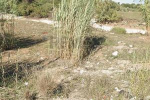 Terreno Edificabile - Vittoria