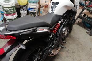 benelli bn 302