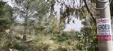 Terreno Residenziale Pedara