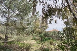 Terreno Residenziale Pedara
