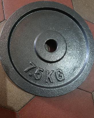 Peso in ghisa da 7.5 kg
