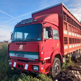 Fiat iveco trasporto animali