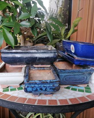 Set di 7 vasi bonsai + 1 sotto vaso