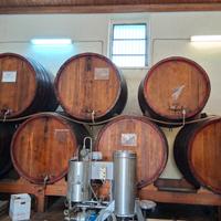 Botti da 2000 lt /1000 lt